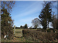 Stile to footpath off Frowens Lane, Gorsley Common