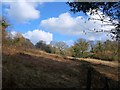 Field at Lower Combe