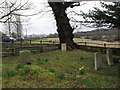 Gravestones in the churchyard at Wiggonholt