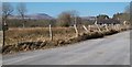 Tyddyn Bach with Bwlch Mawr mountain in the background