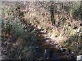 An unnamed tributary of the Dwyfach