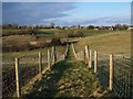 Footpath towards Woodfalls