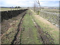 Footpath to Thurlstone Moors