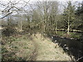 The Ravernet River near Lisburn