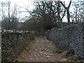 Old track leading to Gethin Forest