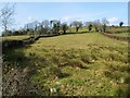 Tanderagee Townland