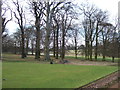 A tee off area on Belton Park golf course