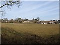 Houses at West Manley