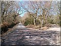 Intersection of the Rhoscyll farm access road and Y Lon Goed