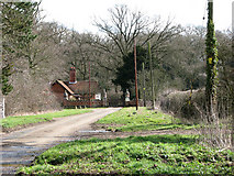 TM1580 : View east along Church Road in Thelveton by Evelyn Simak
