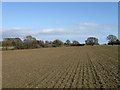 Barn Field Meadow