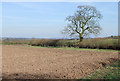 Arable land near Lower Beobridge, Shropshire