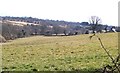 View across farmland to Betws Bach and the Dwyfach valley