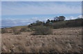 Damp moorland below Tan-graig