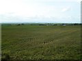 Cargaclogher Townland