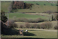 Fields south of the Afon Wyre