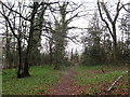 Public footpath entrance to Horton Wood