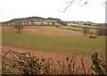 Valley east of Butterleigh