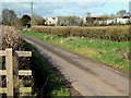 Lane at Chilton Trivett, near Cannington