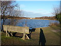 Poole : Hatch Pond Local Nature Reserve & Bench