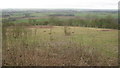 View from the North Downs Way near Brabourne Lane