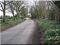 Roadside gardening, Beausale Lane, Waste Green