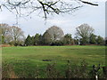 Field North of Beaulieu Road