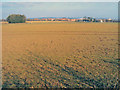 Fields west of Bilborough