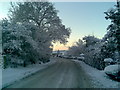 Snow on Swainsea Lane - Jan 2010