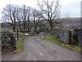 Road to farm buildings