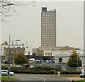 Cwmbran Tower Block viewed from Llewellyn Road