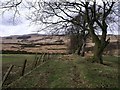 Kilsyth Battlefield, boundary track at Auchinvalley