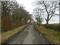 Lane near Templandmuir Farm