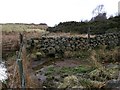 Kilsyth Battlefield