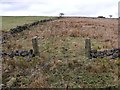 Kilsyth Battlefield, enclosure