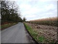 Blithbury Road, heading towards Blithbury