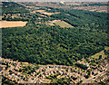 Aerial view of Hadleigh Great Wood (Belfairs Nature reserve)