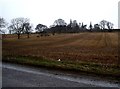 View towards the church