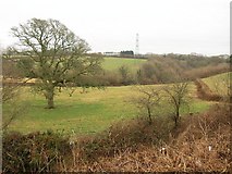 SX4962 : Field by Broadley Industrial Estate by Derek Harper