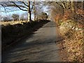 Road beside the Avon Burn