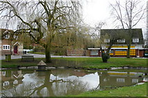SU5646 : North Waltham village pond by Graham Horn