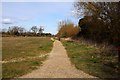 Footpath besides Letcombe Brook