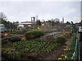 Nursery Walk Allotments, Tettenhall