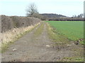 Farm track and footpath