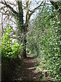 Footpath from Hatton Hill to Kennel Lane