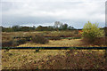 Old sewage works, Burgess Hill