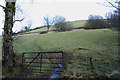 Fields near Llethr farm