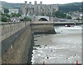 SH7877 : Conwy Castle from the Conwy embankment by N Chadwick