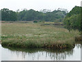 Looking south west from Eling toll bridge