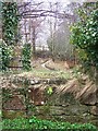 Mill leat at Tawton Mill